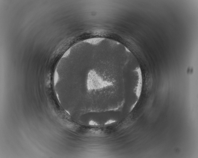 X0000112360502200909241129