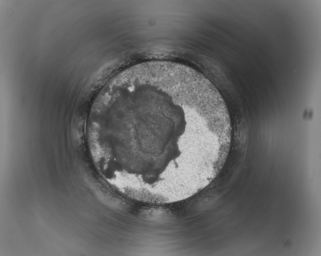 X0000112360503200909241129