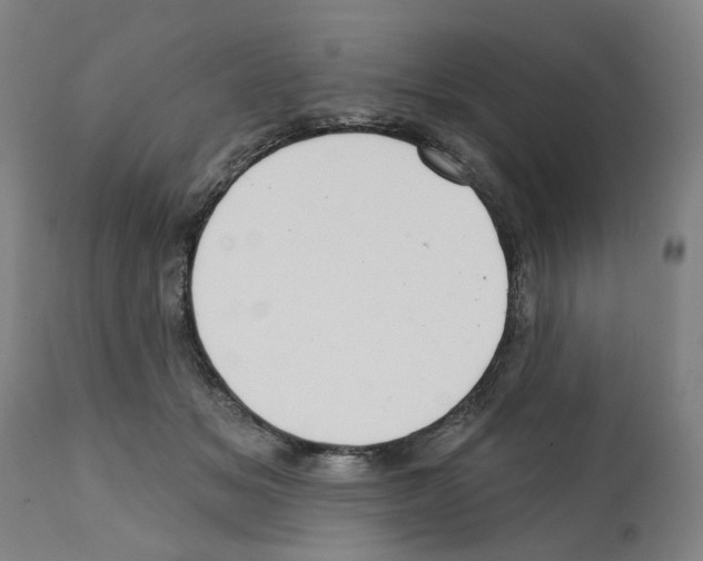 X0000112360509200909241129
