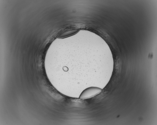 X0000112360516200909241129