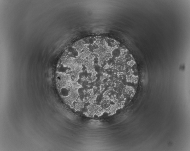 X0000112360519200909241129