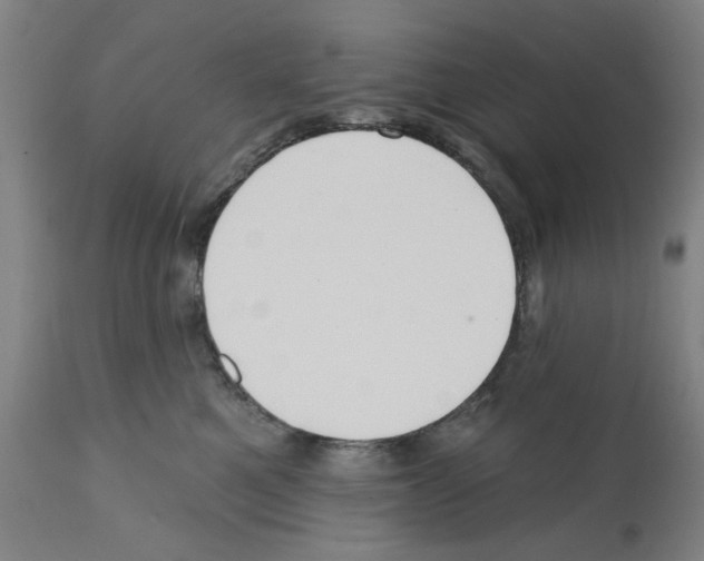 X0000112360521200909241129