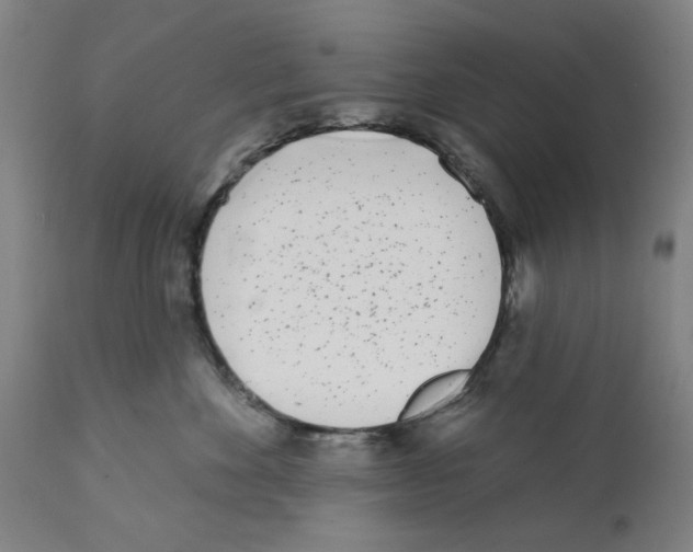 X0000112360524200909241129