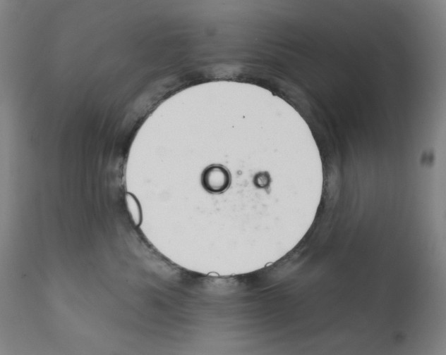 X0000112360525200909241129