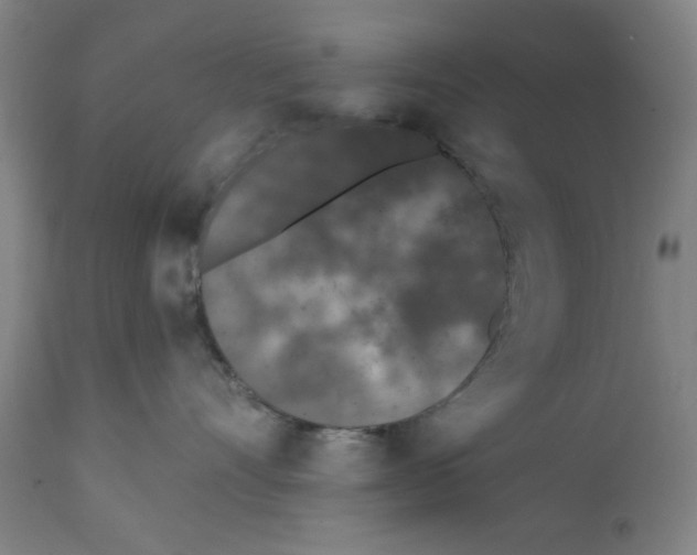X0000112360528200909241129
