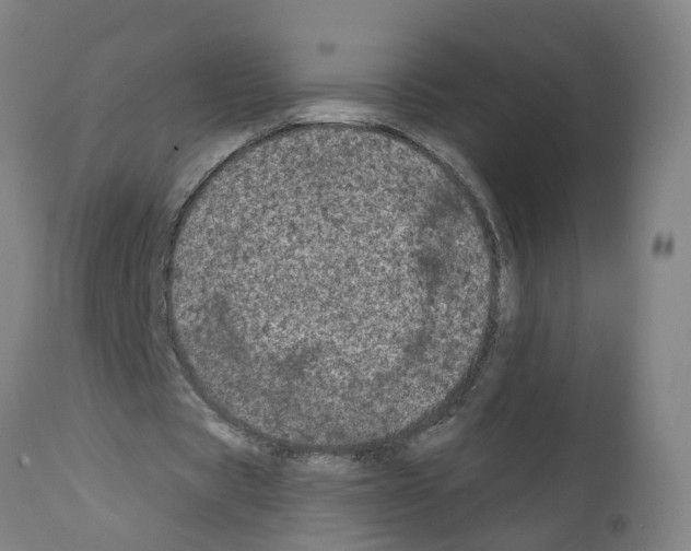 X0000112360529200909241128