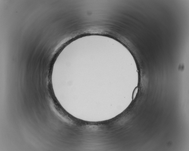 X0000112360530200909241128