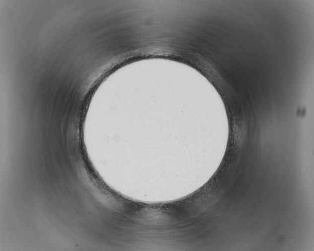 X0000112360534200909241128