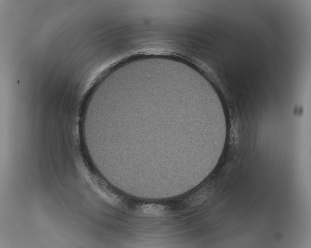 X0000112360535200909241128