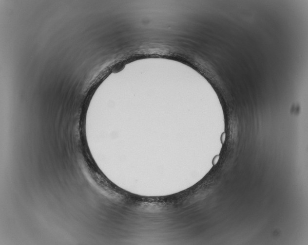 X0000112360538200909241128
