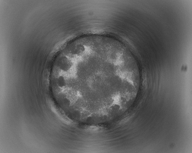 X0000112360542200909241128