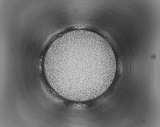 X0000112360543200909241128