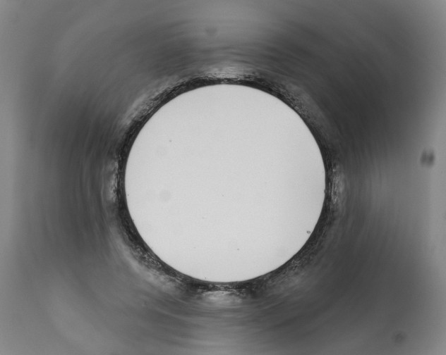 X0000112360544200909241128