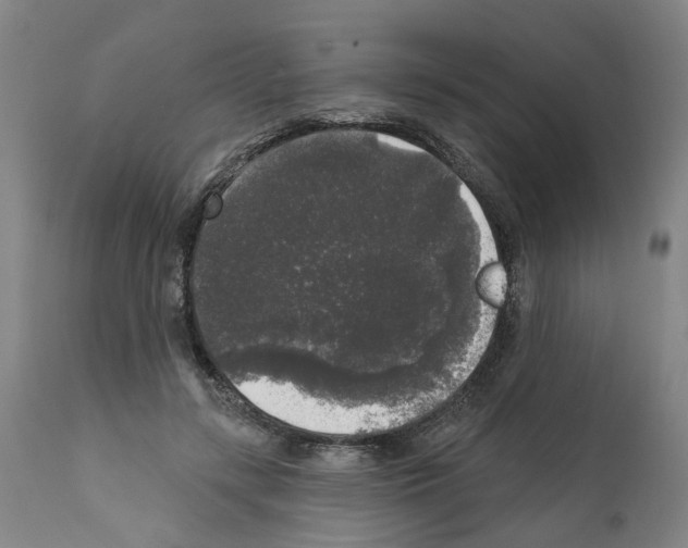 X0000112360547200909241128