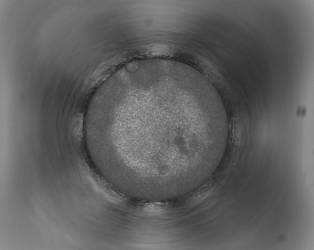 X0000112360550200909241128