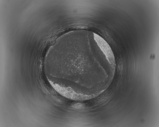 X0000112360551200909241128