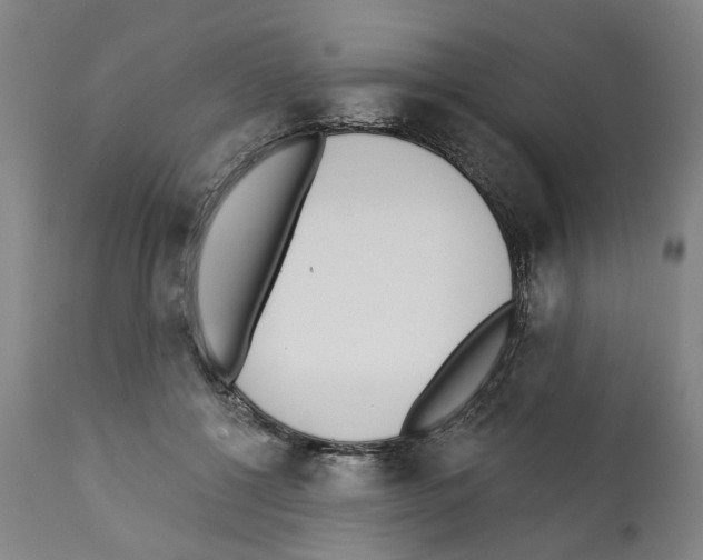 X0000112360552200909241129