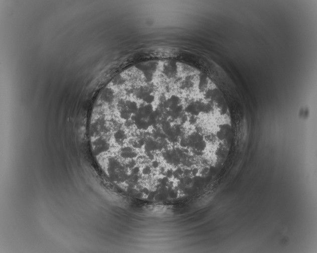 X0000112360553200909241129