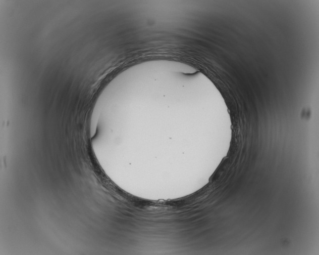 X0000112360556200909241129