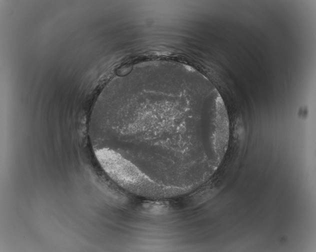 X0000112360559200909241129