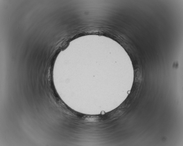 X0000112360560200909241129