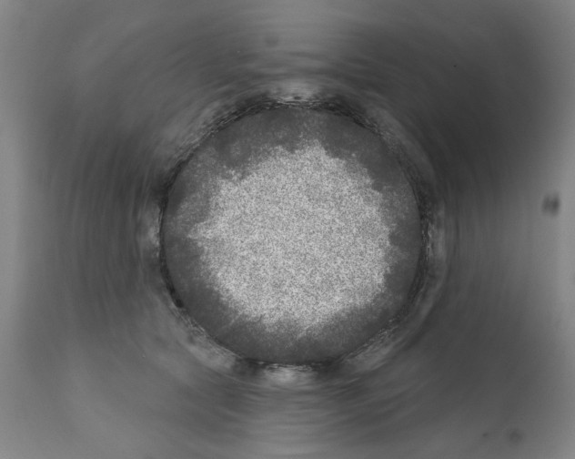 X0000112360561200909241129