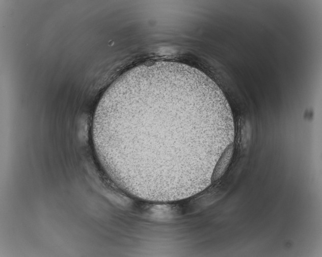 X0000112360562200909241129