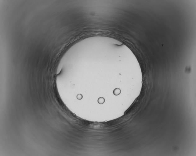 X0000112360564200909241129