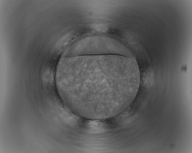 X0000112360568200909241129