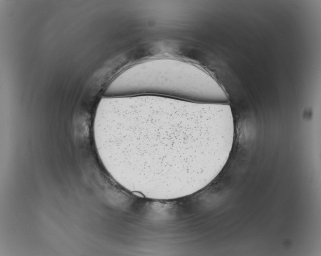 X0000112360570200909241129