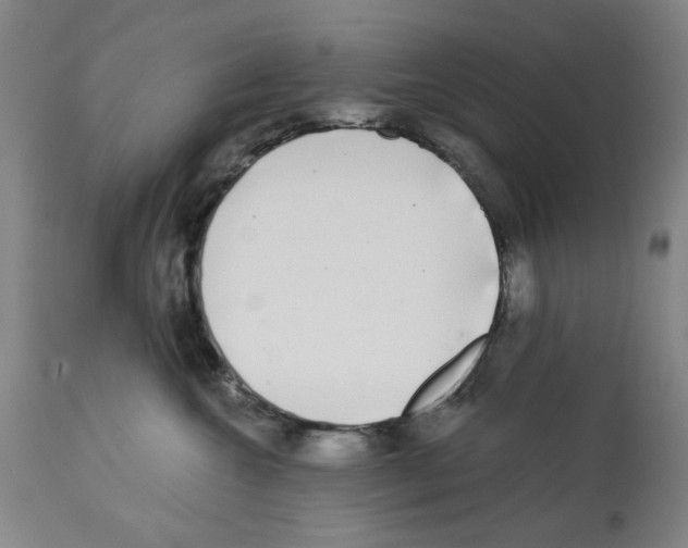 X0000112360572200909241129