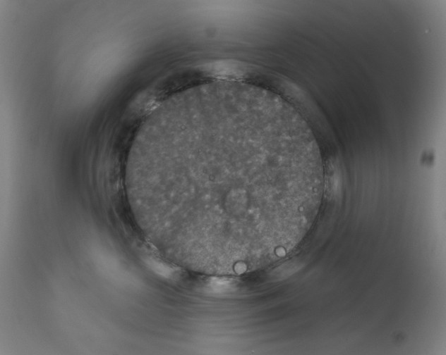 X0000112360573200909241129