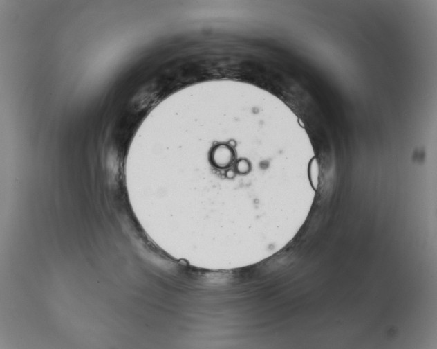 X0000112360574200909241129
