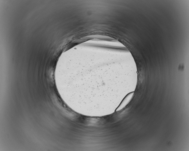 X0000112360575200909241129