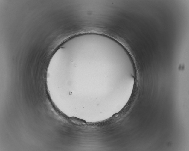 X0000112360577200909241128
