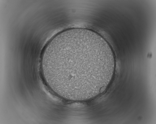 X0000112360578200909241128