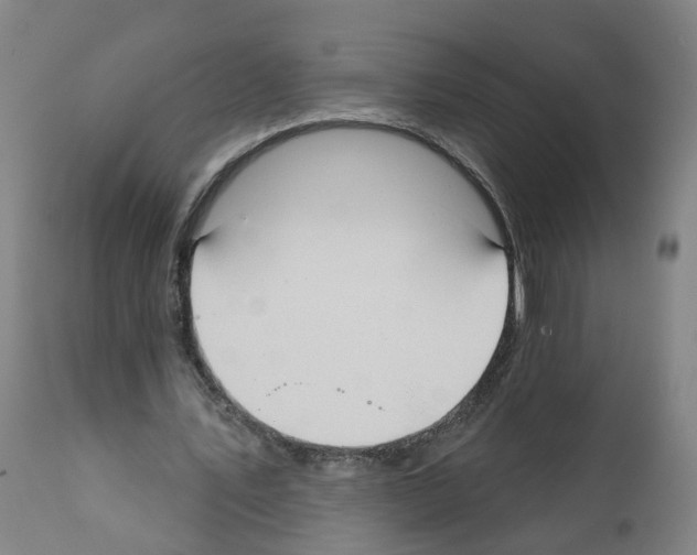 X0000112360579200909241128