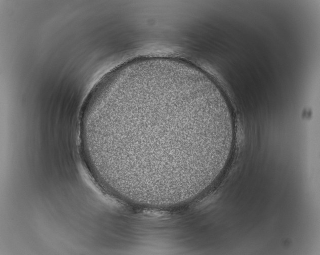 X0000112360582200909241128