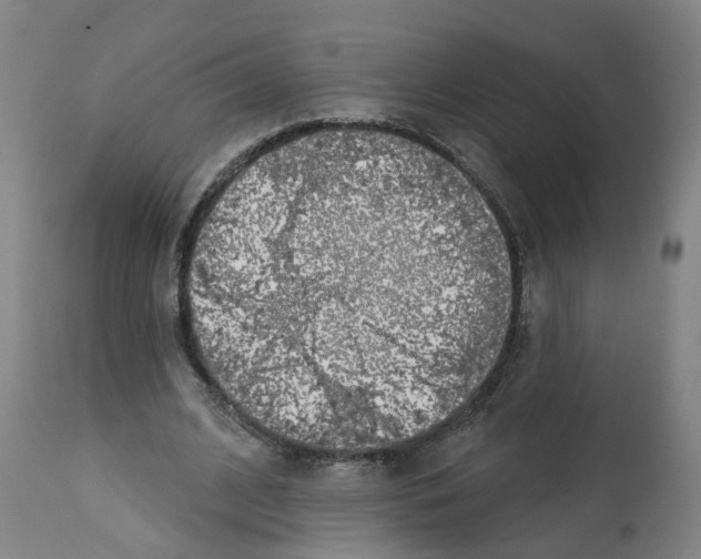 X0000112360584200909241128