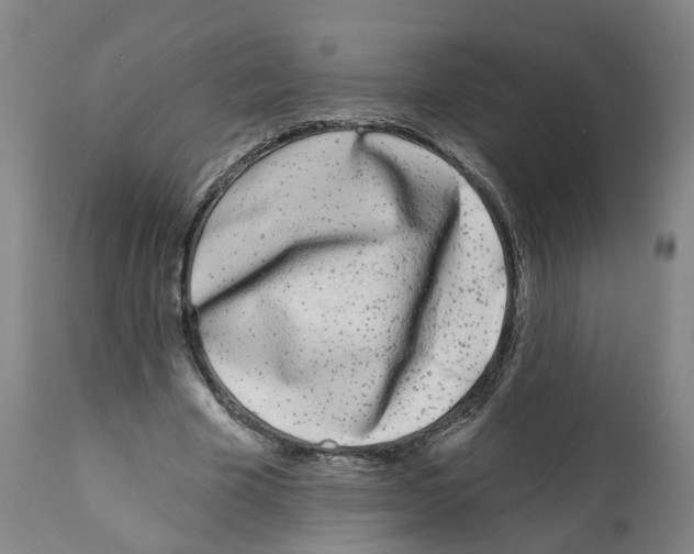 X0000112360585200909241128