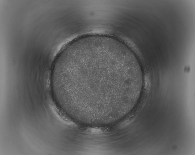 X0000112360588200909241128