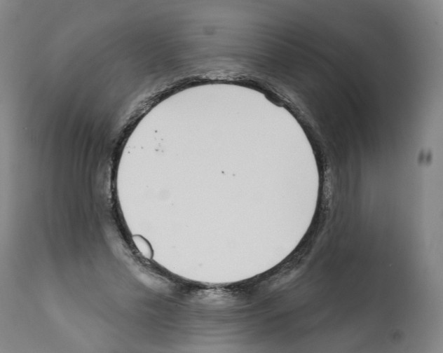 X0000112360589200909241128