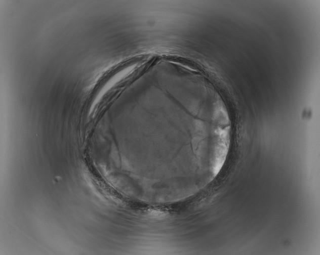 X0000112360592200909241128