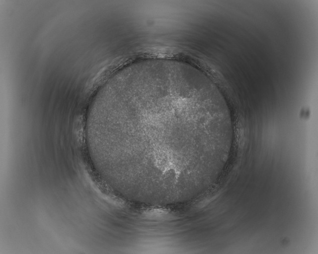 X0000112360594200909241128