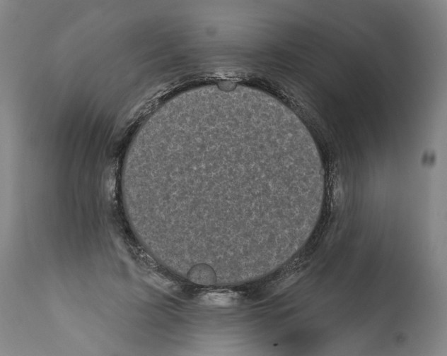 X0000112360595200909241128