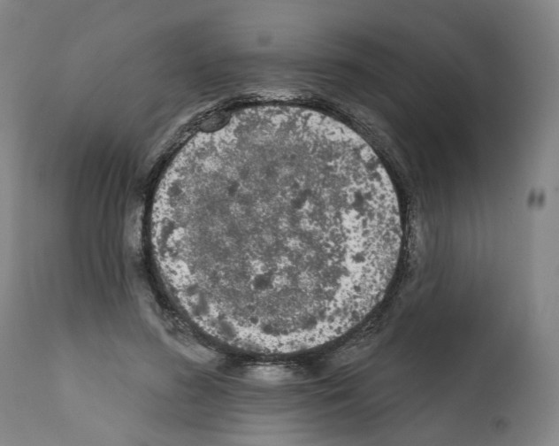 X0000112360596200909241128
