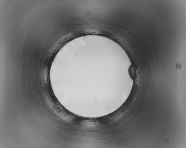 X0000112360597200909241128