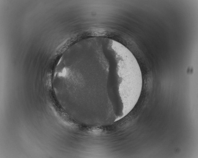 X0000112360598200909241128