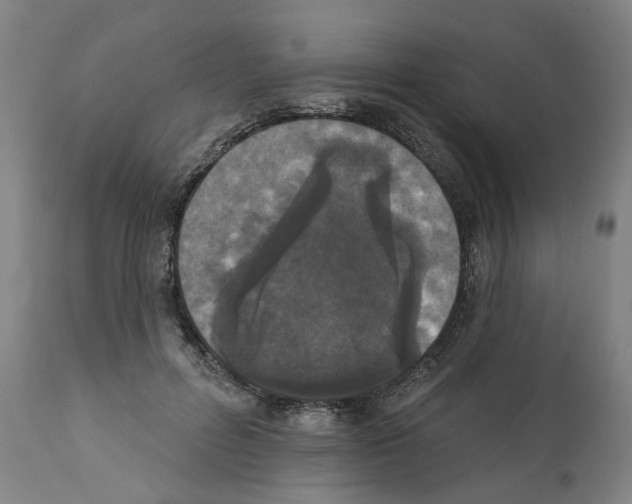 X0000112360600200909241128
