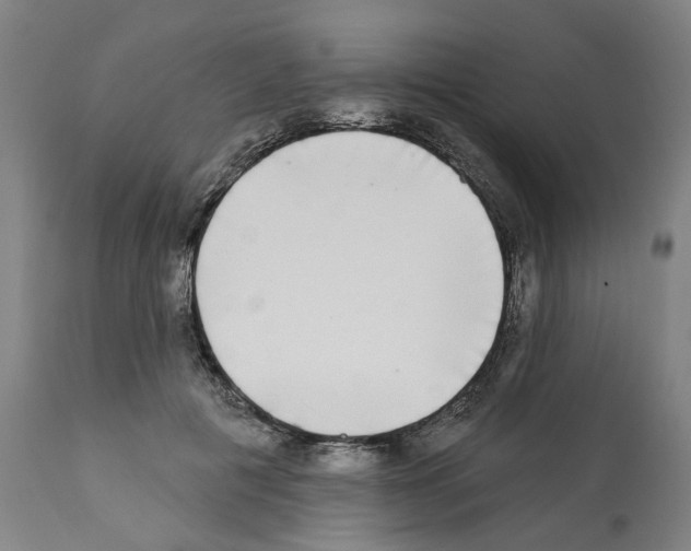 X0000112360601200909241128